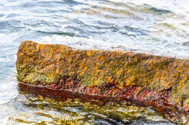 Rio de Janeiro Eyaleti Rio de Janeiro Brezilya 'da, Urca Red Beach Tropikal Cenneti Mavi Turkuaz Su Dalgaları Palmiye Ağaçları Kayalık Tepeler Kayalık Tepeler Sahil Kumu ve Beyaz Sahil Kumu.