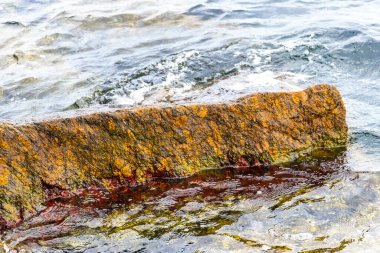 Rio de Janeiro Eyaleti Rio de Janeiro Brezilya 'da, Urca Red Beach Tropikal Cenneti Mavi Turkuaz Su Dalgaları Palmiye Ağaçları Kayalık Tepeler Kayalık Tepeler Sahil Kumu ve Beyaz Sahil Kumu.