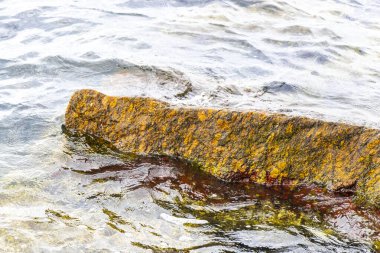 Rio de Janeiro Eyaleti Rio de Janeiro Brezilya 'da, Urca Red Beach Tropikal Cenneti Mavi Turkuaz Su Dalgaları Palmiye Ağaçları Kayalık Tepeler Kayalık Tepeler Sahil Kumu ve Beyaz Sahil Kumu.