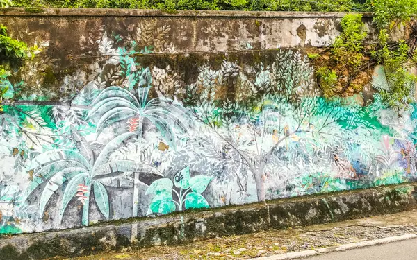 Rio de Janeiro Eyaleti Rio de Janeiro Brezilya 10. Aralık 2020 Santa Teresa Centro Şehir Sokakları Brezilya 'da Turizm Sanatı Graffiti Tabloları ve Binaları ile Şehir Sokakları Panoraması.