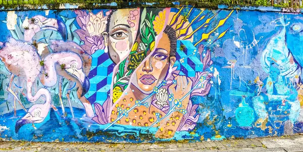 Rio de Janeiro Eyaleti Rio de Janeiro Brezilya 10. Aralık 2020 Santa Teresa Centro Şehir Sokakları Brezilya 'da Turizm Sanatı Graffiti Tabloları ve Binaları ile Şehir Sokakları Panoraması.