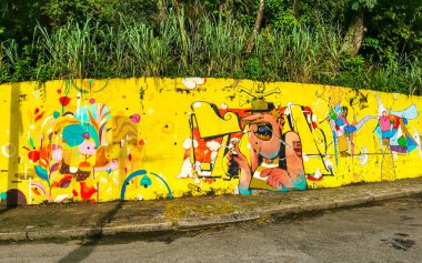 Rio de Janeiro Eyaleti Rio de Janeiro Brezilya 10. Aralık 2020 Santa Teresa Centro Şehir Sokakları Brezilya 'da Turizm Sanatı Graffiti Tabloları ve Binaları ile Şehir Sokakları Panoraması.