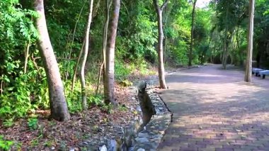 Pattaya Bang Lamung Amphoe Chon Buri Tayland 'daki Pattaya Tamnak Dağı tropikal doğada parkta yürüyüş yolu.