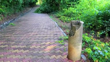 Pattaya Bang Lamung Amphoe Chon Buri Tayland 'daki Pattaya Tamnak Dağı tropikal doğada parkta yürüyüş yolu.