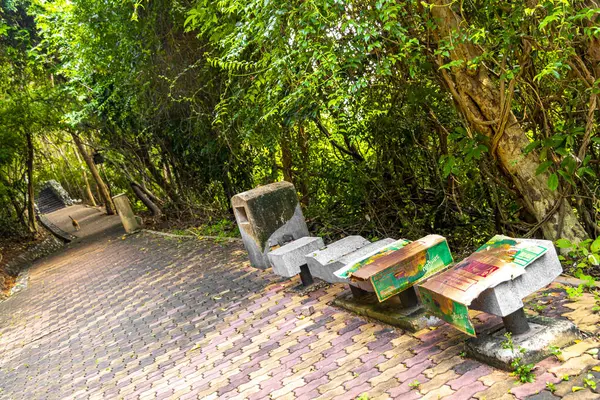 Pattaya Bang Lamung Amphoe Chon Buri Tayland 'daki Pattaya Tamnak Dağı tropikal doğada parkta yürüyüş yolu.