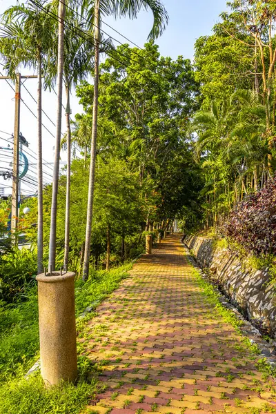 Pattaya Bang Lamung Amphoe Chon Buri Tayland 'daki Pattaya Tamnak Dağı tropikal doğada parkta yürüyüş yolu.