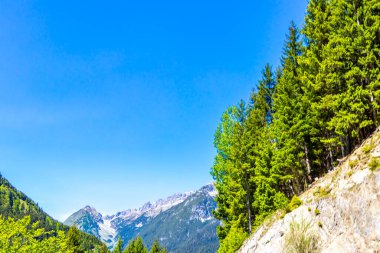 Dağ ve Alp tepeleri manzara dağları ve kayalar yeşil tarlalar ormanlar köknar ağaçları doğa ve mavi gökyüzü Alp Imst Tyrol Avusturya.