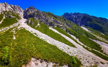 Dağ ve Alp tepeleri manzara dağları ve kayalar yeşil tarlalar ormanlar köknar ağaçları doğa ve mavi gökyüzü Alp Imst Tyrol Avusturya.