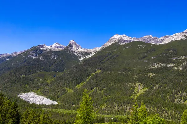 Dağ ve Alp tepeleri manzara dağları ve kayalar yeşil tarlalar ormanlar köknar ağaçları doğa ve mavi gökyüzü Alp Imst Tyrol Avusturya.