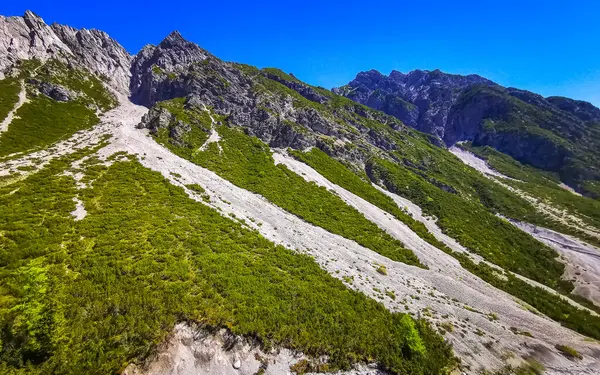 Dağ ve Alp tepeleri manzara dağları ve kayalar yeşil tarlalar ormanlar köknar ağaçları doğa ve mavi gökyüzü Alp Imst Tyrol Avusturya.