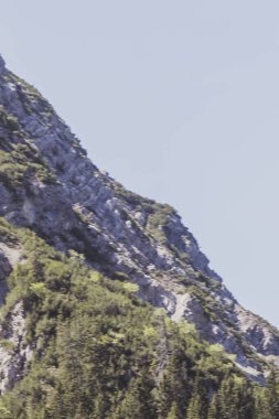 Dağ ve Alp tepeleri manzara dağları ve kayalar yeşil tarlalar ormanlar köknar ağaçları doğa ve mavi gökyüzü Alp Imst Tyrol Avusturya.