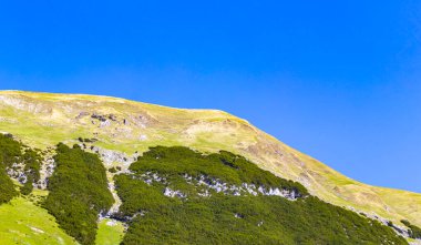 Dağ ve Alp tepeleri manzara dağları ve kayalar yeşil tarlalar ormanlar köknar ağaçları doğa ve mavi gökyüzü Alp Imst Tyrol Avusturya.