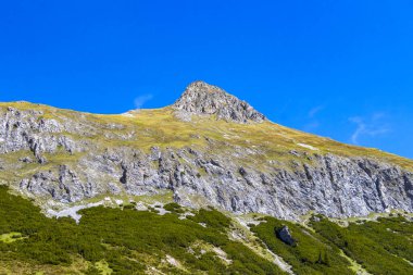 Dağ ve Alp tepeleri manzara dağları ve kayalar yeşil tarlalar ormanlar köknar ağaçları doğa ve mavi gökyüzü Alp Imst Tyrol Avusturya.