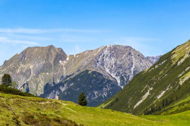 Dağ ve Alp tepeleri manzara dağları ve kayalar yeşil tarlalar ormanlar köknar ağaçları doğa ve mavi gökyüzü Alp Imst Tyrol Avusturya.