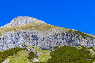 Dağ ve Alp tepeleri manzara dağları ve kayalar yeşil tarlalar ormanlar köknar ağaçları doğa ve mavi gökyüzü Alp Imst Tyrol Avusturya.