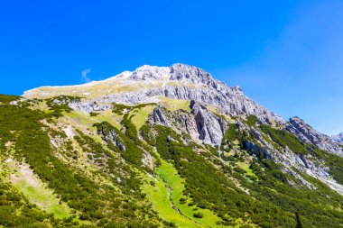 Dağ ve Alp tepeleri manzara dağları ve kayalar yeşil tarlalar ormanlar köknar ağaçları doğa ve mavi gökyüzü Alp Imst Tyrol Avusturya.