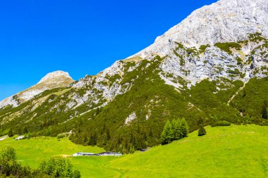 Dağ ve Alp tepeleri manzara dağları ve kayalar yeşil tarlalar ormanlar köknar ağaçları doğa ve mavi gökyüzü Alp Imst Tyrol Avusturya.