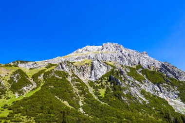 Dağ ve Alp tepeleri manzara dağları ve kayalar yeşil tarlalar ormanlar köknar ağaçları doğa ve mavi gökyüzü Alp Imst Tyrol Avusturya.
