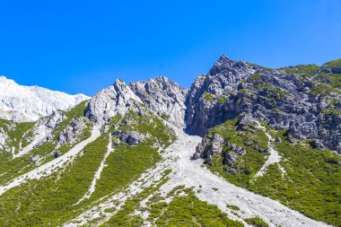 Dağ ve Alp tepeleri manzara dağları ve kayalar yeşil tarlalar ormanlar köknar ağaçları doğa ve mavi gökyüzü Alp Imst Tyrol Avusturya.