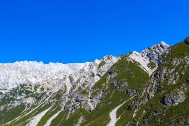 Dağ ve Alp tepeleri manzara dağları ve kayalar yeşil tarlalar ormanlar köknar ağaçları doğa ve mavi gökyüzü Alp Imst Tyrol Avusturya.