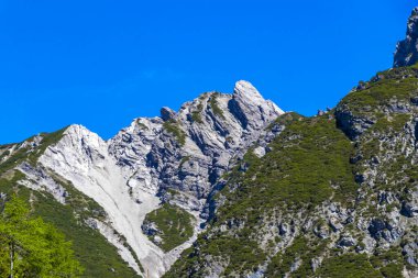 Dağ ve Alp tepeleri manzara dağları ve kayalar yeşil tarlalar ormanlar köknar ağaçları doğa ve mavi gökyüzü Alp Imst Tyrol Avusturya.