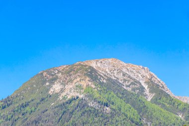 Dağ ve Alp tepeleri manzara dağları ve kayalar yeşil tarlalar ormanlar köknar ağaçları doğa ve mavi gökyüzü Alp Imst Tyrol Avusturya.