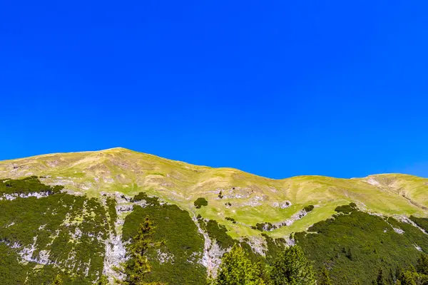 Dağ ve Alp tepeleri manzara dağları ve kayalar yeşil tarlalar ormanlar köknar ağaçları doğa ve mavi gökyüzü Alp Imst Tyrol Avusturya.