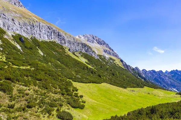 Dağ ve Alp tepeleri manzara dağları ve kayalar yeşil tarlalar ormanlar köknar ağaçları doğa ve mavi gökyüzü Alp Imst Tyrol Avusturya.