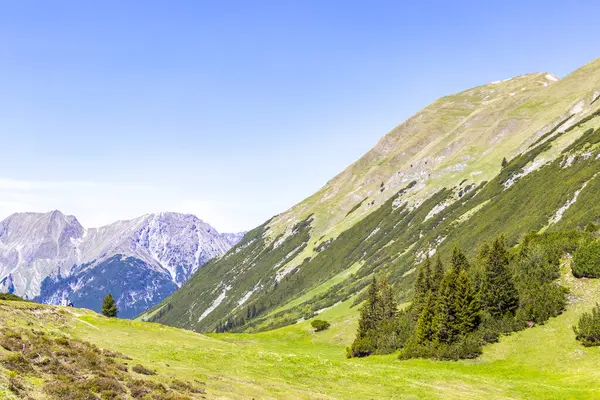 Dağ ve Alp tepeleri manzara dağları ve kayalar yeşil tarlalar ormanlar köknar ağaçları doğa ve mavi gökyüzü Alp Imst Tyrol Avusturya.