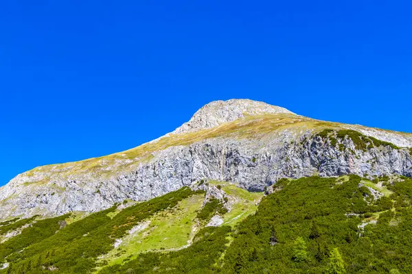 Dağ ve Alp tepeleri manzara dağları ve kayalar yeşil tarlalar ormanlar köknar ağaçları doğa ve mavi gökyüzü Alp Imst Tyrol Avusturya.