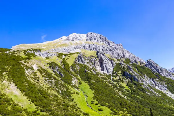 Dağ ve Alp tepeleri manzara dağları ve kayalar yeşil tarlalar ormanlar köknar ağaçları doğa ve mavi gökyüzü Alp Imst Tyrol Avusturya.