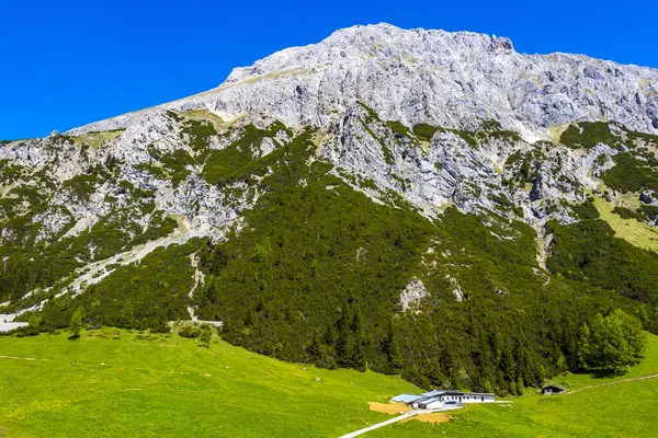 Dağ ve Alp tepeleri manzara dağları ve kayalar yeşil tarlalar ormanlar köknar ağaçları doğa ve mavi gökyüzü Alp Imst Tyrol Avusturya.