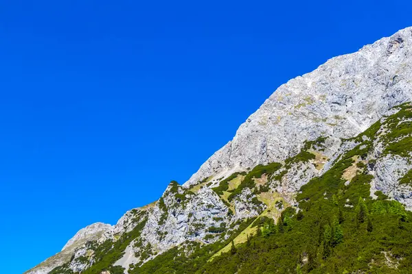 Dağ ve Alp tepeleri manzara dağları ve kayalar yeşil tarlalar ormanlar köknar ağaçları doğa ve mavi gökyüzü Alp Imst Tyrol Avusturya.