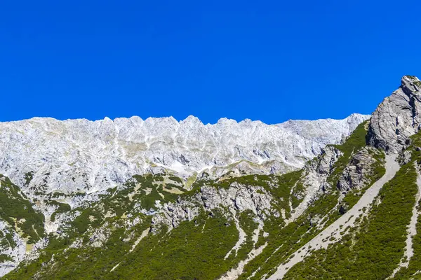 Dağ ve Alp tepeleri manzara dağları ve kayalar yeşil tarlalar ormanlar köknar ağaçları doğa ve mavi gökyüzü Alp Imst Tyrol Avusturya.