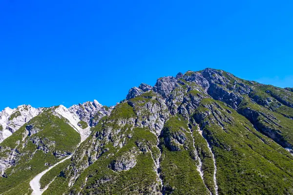 Dağ ve Alp tepeleri manzara dağları ve kayalar yeşil tarlalar ormanlar köknar ağaçları doğa ve mavi gökyüzü Alp Imst Tyrol Avusturya.