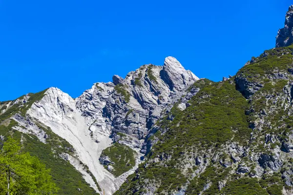 Dağ ve Alp tepeleri manzara dağları ve kayalar yeşil tarlalar ormanlar köknar ağaçları doğa ve mavi gökyüzü Alp Imst Tyrol Avusturya.