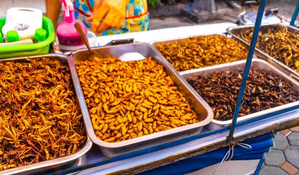Güneydoğu Asya 'da Pattaya Bang Lamung Amphoe Chon Buri Tayland' da yürüyen sokak gıda pazarında böcekler satılıyor..
