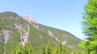 Dağ ve Alp tepeleri manzara dağları ve kayalar yeşil tarlalar ormanlar köknar ağaçları doğa ve mavi gökyüzü Alp Imst Tyrol Avusturya.