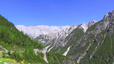 Dağ ve Alp tepeleri manzara dağları ve kayalar yeşil tarlalar ormanlar köknar ağaçları doğa ve mavi gökyüzü Alp Imst Tyrol Avusturya.