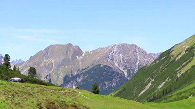Dağ ve Alp tepeleri manzara dağları ve kayalar yeşil tarlalar ormanlar köknar ağaçları doğa ve mavi gökyüzü Alp Imst Tyrol Avusturya.