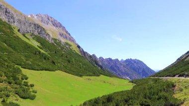 Dağ ve Alp tepeleri manzara dağları ve kayalar yeşil tarlalar ormanlar köknar ağaçları doğa ve mavi gökyüzü Alp Imst Tyrol Avusturya.