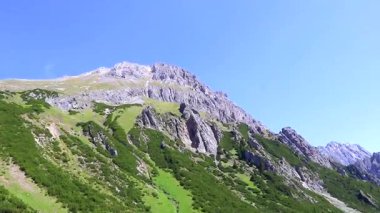 Dağ ve Alp tepeleri manzara dağları ve kayalar yeşil tarlalar ormanlar köknar ağaçları doğa ve mavi gökyüzü Alp Imst Tyrol Avusturya.