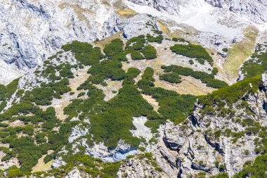 Dağ ve Alp Tepesi manzara dağları ve kayalar yeşil tarlaları olan manzaralar daha az orman ve köknar ağaçları Alpler Imst Tyrol Avusturya 'da kayalık doğa ve mavi gökyüzü.