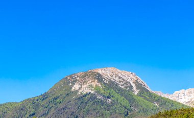 Dağ ve Alp tepeleri manzara dağları ve kayalar yeşil tarlalar ormanlar köknar ağaçları doğa ve mavi gökyüzü Alp Imst Tyrol Avusturya.