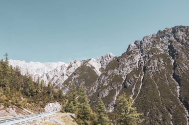 Dağ ve Alp Tepesi 'ndeki yollar dağlar ve kayalar yeşil tarlalarla kaplı manzaralar ormanlar köknar ağaçları ve Alpler' deki mavi gökyüzü Tyrol Avusturya.