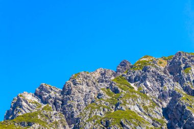 Dağ ve Alp Tepesi manzara dağları ve kayalar yeşil tarlaları olan manzaralar daha az orman ve köknar ağaçları Alpler Imst Tyrol Avusturya 'da kayalık doğa ve mavi gökyüzü.