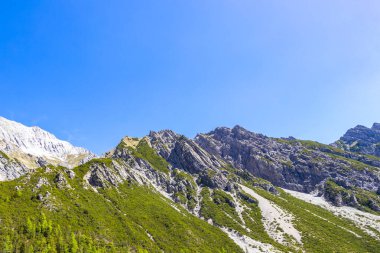 Dağ ve Alp Tepesi manzara dağları ve kayalar yeşil tarlaları olan manzaralar daha az orman ve köknar ağaçları Alpler Imst Tyrol Avusturya 'da kayalık doğa ve mavi gökyüzü.