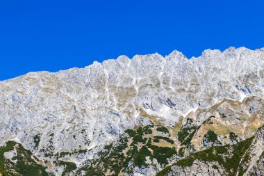 Dağ ve Alp Tepesi manzara dağları ve kayalar yeşil tarlaları olan manzaralar daha az orman ve köknar ağaçları Alpler Imst Tyrol Avusturya 'da kayalık doğa ve mavi gökyüzü.