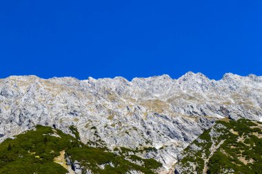 Dağ ve Alp Tepesi manzara dağları ve kayalar yeşil tarlaları olan manzaralar daha az orman ve köknar ağaçları Alpler Imst Tyrol Avusturya 'da kayalık doğa ve mavi gökyüzü.