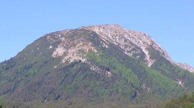 Dağ ve Alp tepeleri manzara dağları ve kayalar yeşil tarlalar ormanlar köknar ağaçları doğa ve mavi gökyüzü Alp Imst Tyrol Avusturya.